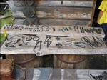 Sweden 2006-07 186